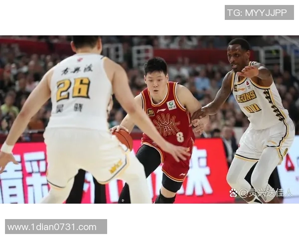 广厦男篮全新球员名单揭晓各位新星期待为球队争光